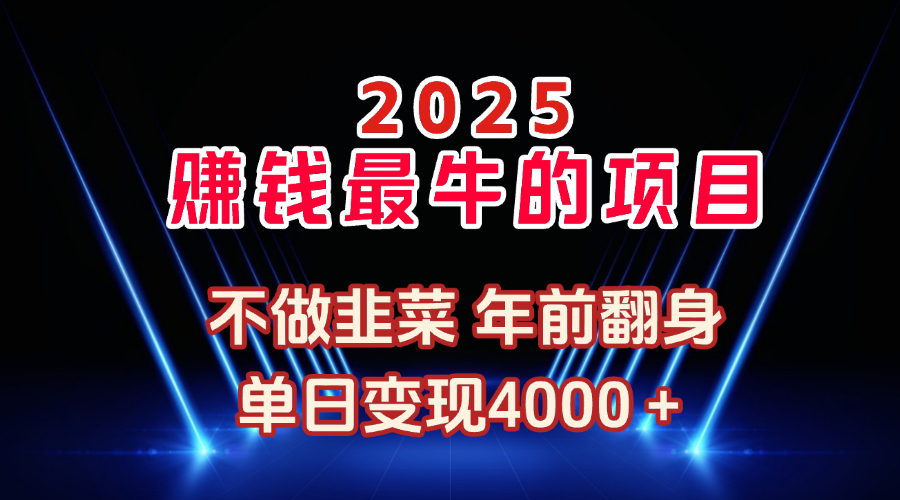 2025年赚钱最牛的项目 不做韭菜 年前翻身网创吧-网创项目资源站-副业项目-创业项目-搞钱项目网创吧