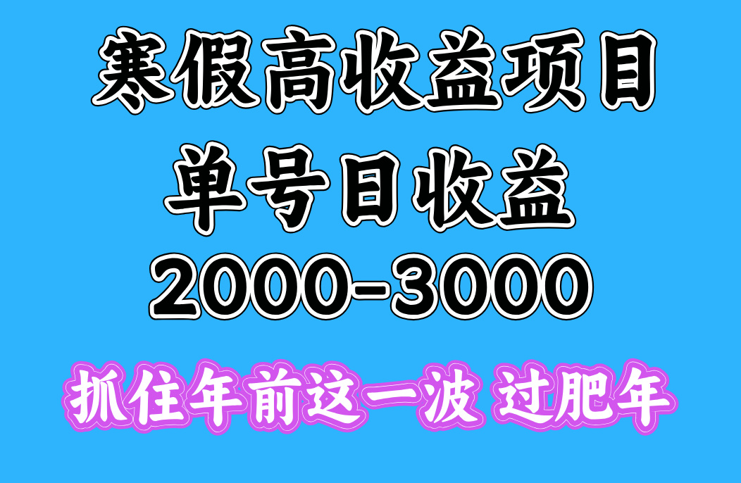 寒假期间一天收益2000-3000+，抓住年前这一波网创吧-网创项目资源站-副业项目-创业项目-搞钱项目网创吧